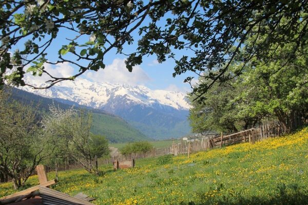 Binnenland & Svaneti